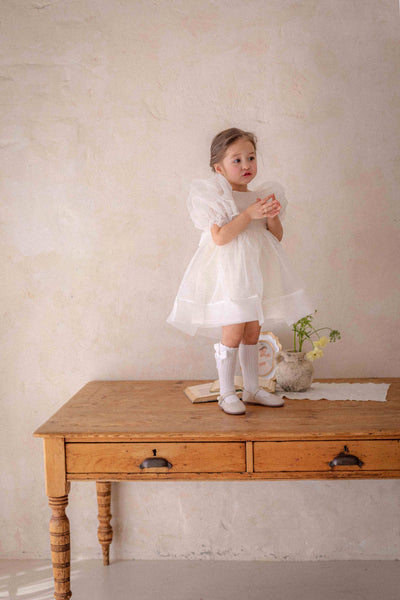 Ines Organza Dress_ Cream