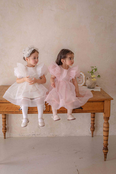 Ines Organza Dress_ Pink