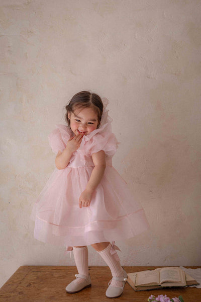 Ines Organza Dress_ Pink