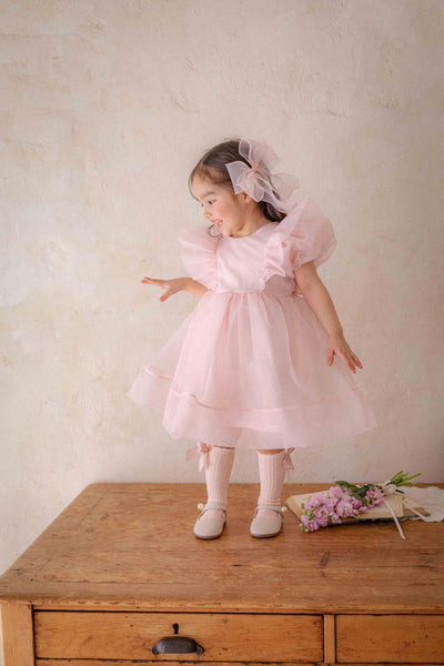 Ines Organza Dress_ Pink