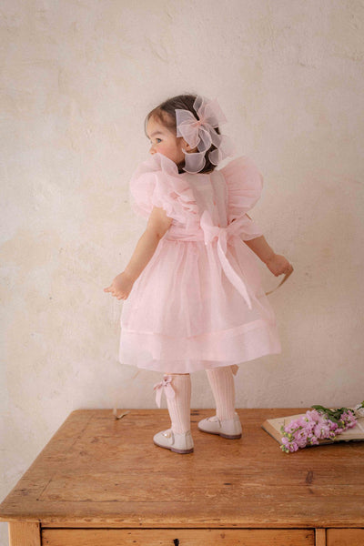 Ines Organza Dress_ Pink