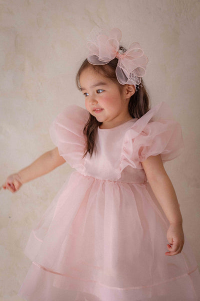 Ines Organza Dress_ Pink