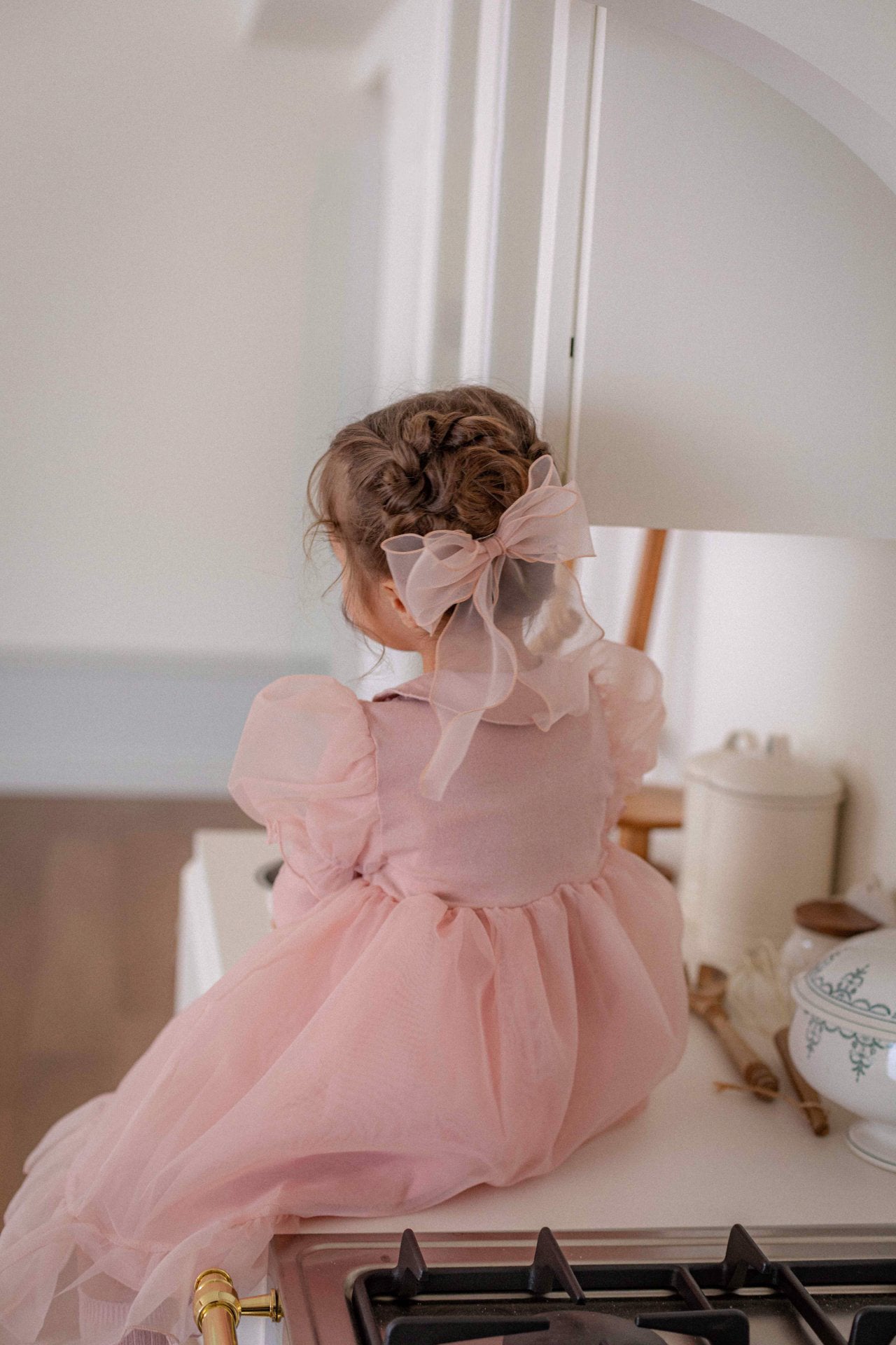 Eloise Organza Dress_  Pink
