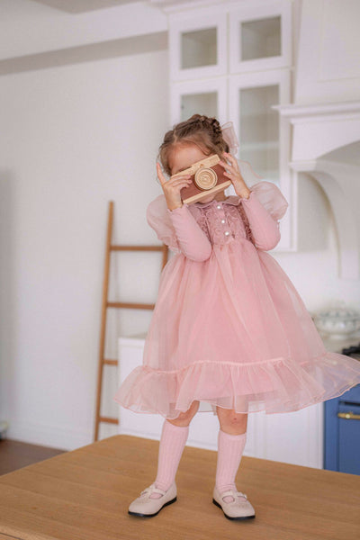 Eloise Organza Dress_  Pink