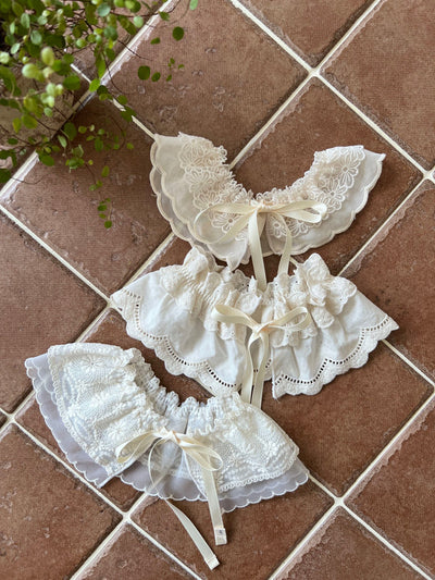 Butterfly Cape_ 2 type