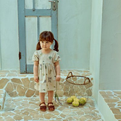 Provence Dress