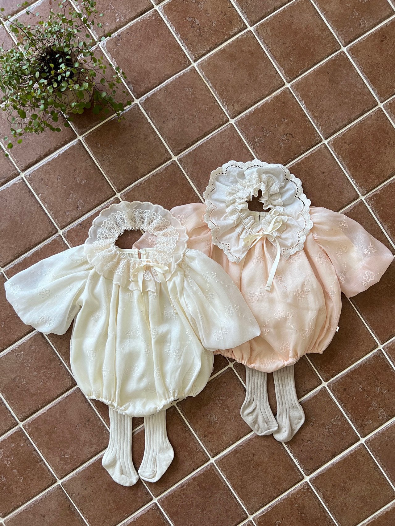 Butterfly Cape_ 2 type