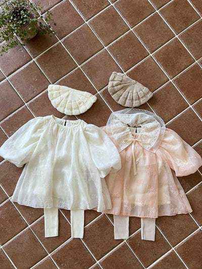 Butterfly Cape_ 2 type