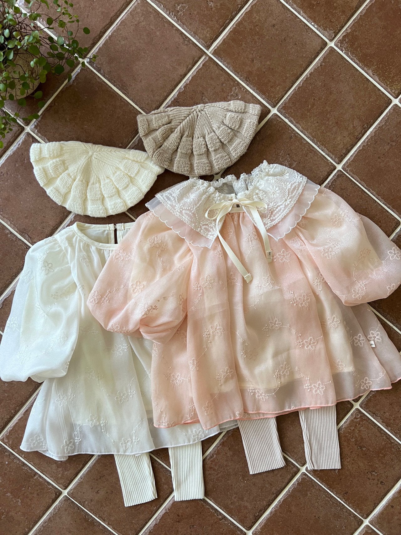 Butterfly Cape_ 2 type