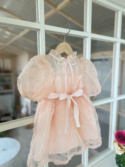 Rozley Dress _2 Colors